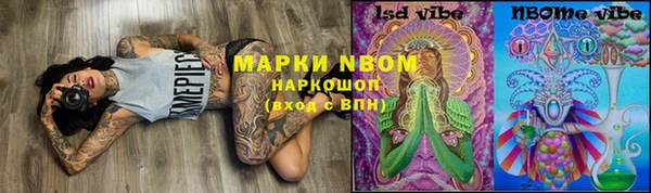 PSILOCYBIN Дмитров